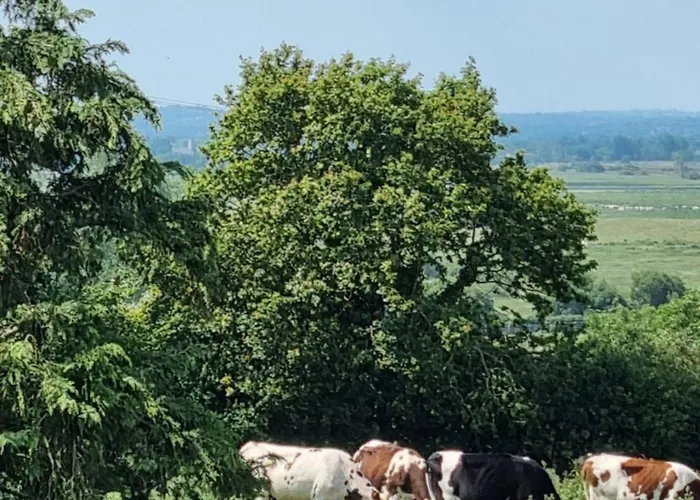 La Maison Du Mont B&B *