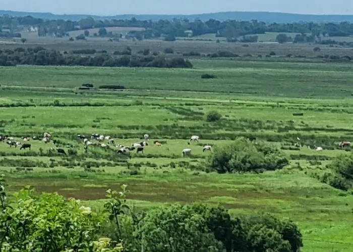 La Maison Du Mont B&B *